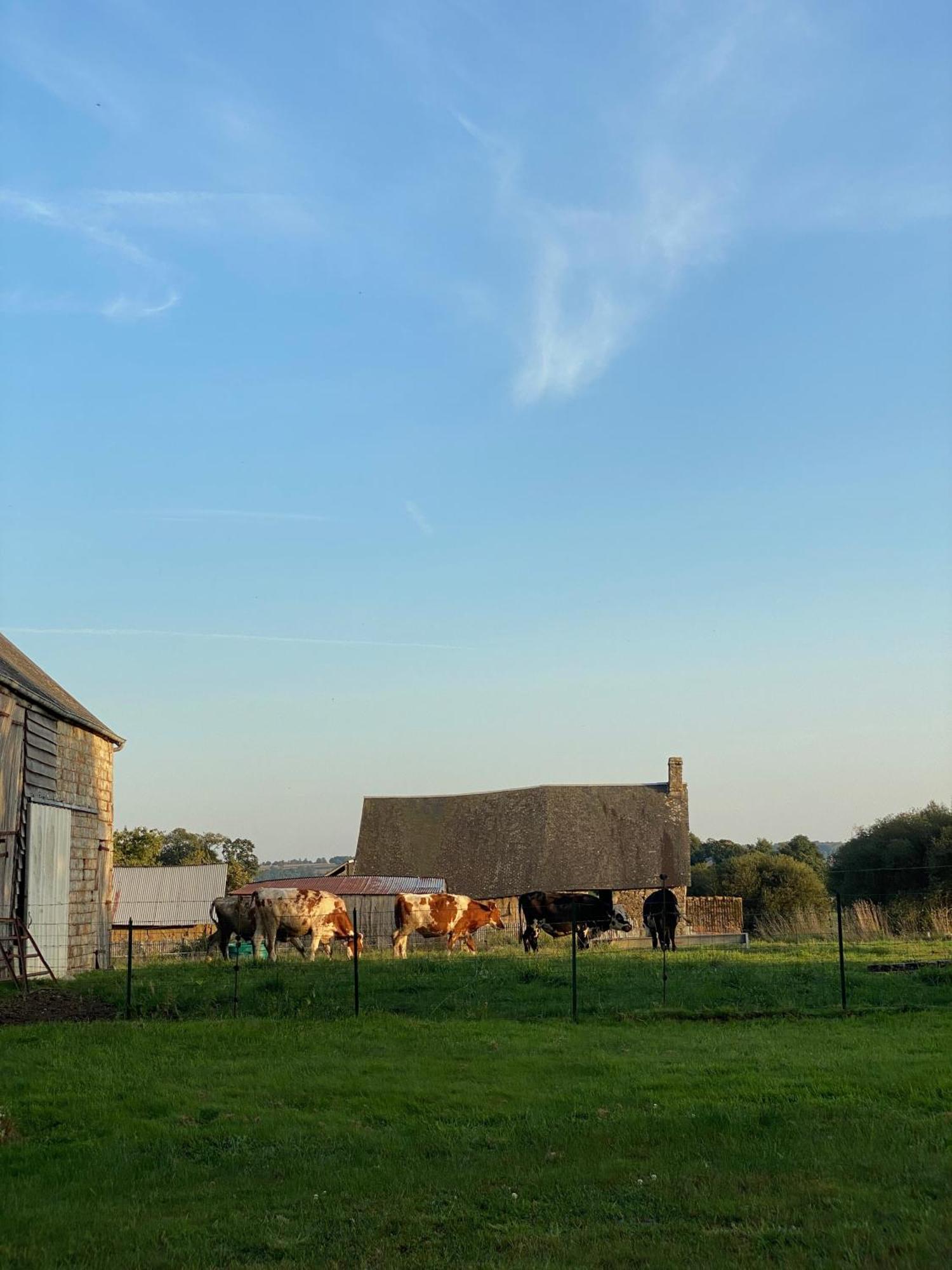 Entire Farm House Stay, La Gerouardiere Barenton Extérieur photo